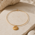 Scallop Shell